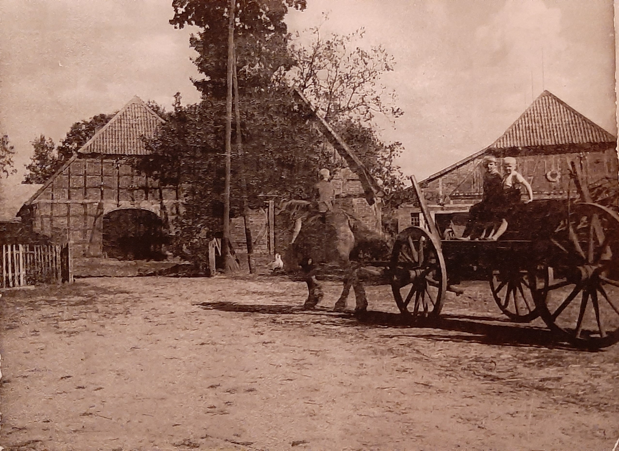 sw-Foto Pferdewagen auf Bauernhof